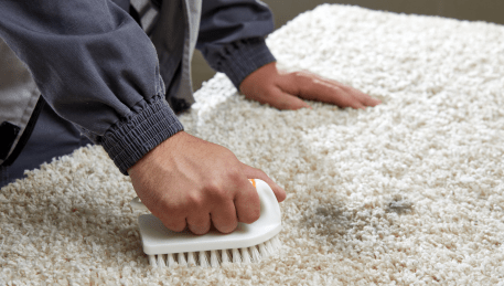 Professional Rug Cleaning Sydenham